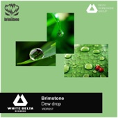 Dew Drop artwork