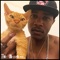 Cat Emotions - iAmMoshow lyrics