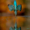 Gramrcy - Highdive