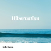 Hibernation artwork