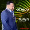 Perfecta - Single album lyrics, reviews, download