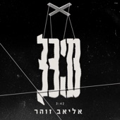 מיכל artwork