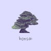 Bonsai - Single