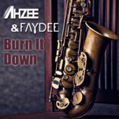 Burn It Down (Extended) artwork