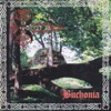 Buchonia - EP