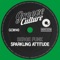 Sparkling Attitude (Extended Mix) artwork