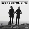 WONDERFUL LIFE - Single album lyrics, reviews, download