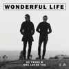 WONDERFUL LIFE - Single