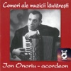 Ion Onoriu (Acordeon)