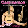 SAXO BONITO - CAMINEMOS (Saxo y guitarra)