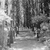 The Invisible Race - EP