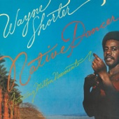 Diana - Wayne Shorter
