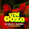 Stream & download Un Gozo (feat. Migueltom) - Single