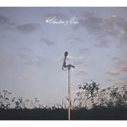 Cluster & Eno - Brian Eno