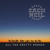 All the Pretty Horses - Single