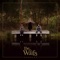 I Won't Go Down - The Waifs lyrics