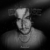 Excuse the Mess artwork