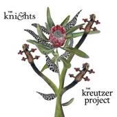 The Kreutzer Project artwork