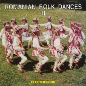 Dansuri Populare Românești, Vol. 2 - Various Artists