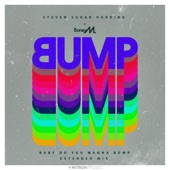 Baby Do You Wanna Bump (Extended Mix) artwork