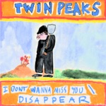 Disappear by Twin Peaks