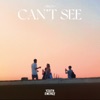 Can't See - Single