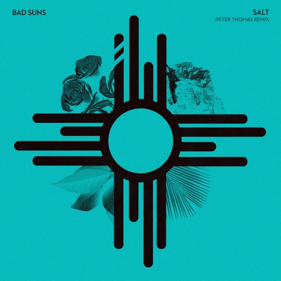 Cover artwork for Salt (Peter Thomas Remix)
