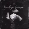 Goodbye Forever - Single album lyrics, reviews, download