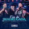 Frio da Madrugada (Ao Vivo) - Single album lyrics, reviews, download