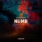 Numb (Extended) artwork