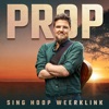 Sing Hoop Weerklink