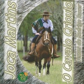 Se Houver Cavalo Crioulo artwork