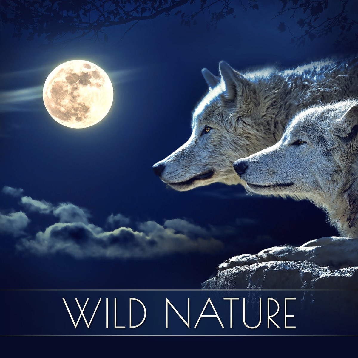 Wild nature отзывы. Wolf Howl Sound.