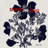 Shady Bug - Shady Bug