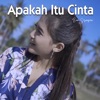 Apakah Itu Cinta - Single