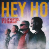 Hey Ho (feat. HEDEGAARD) artwork