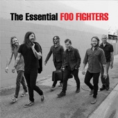 The Essential Foo Fighters artwork