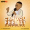 Can You Feel It cover