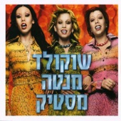 שלג על עירי artwork