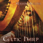 Celtic Harp artwork