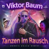 Tanzen im Rausch (Dennis Braun Remix) - Single