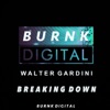 Breaking Down - Single