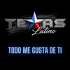 Todo Me Gusta De Ti - Single