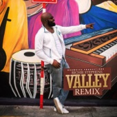 Valley (Reggae Remix) artwork