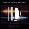 Best of Delete Records, Vol. 1, 2017