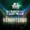 Vibrations - DJ Bam Bam & Alex Peace lyrics