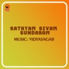 Sathyam Sivam Sundaram (Original Motion Picture Soundtrack)