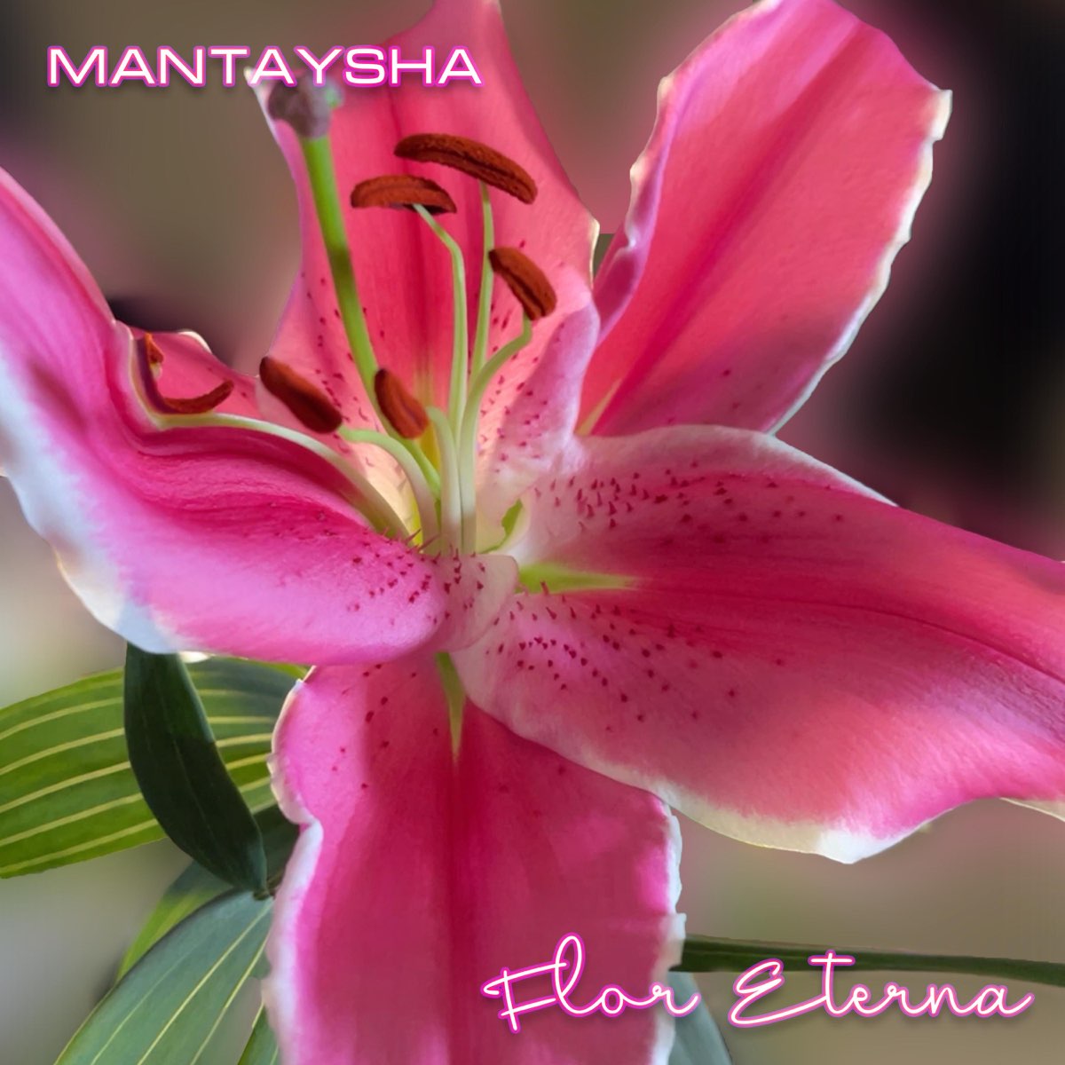 Flor Eterna - Single by Mantaysha on Apple Music