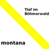 Tief im Böhmerwald - EP