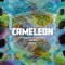 Caméléon (feat. Booba) artwork